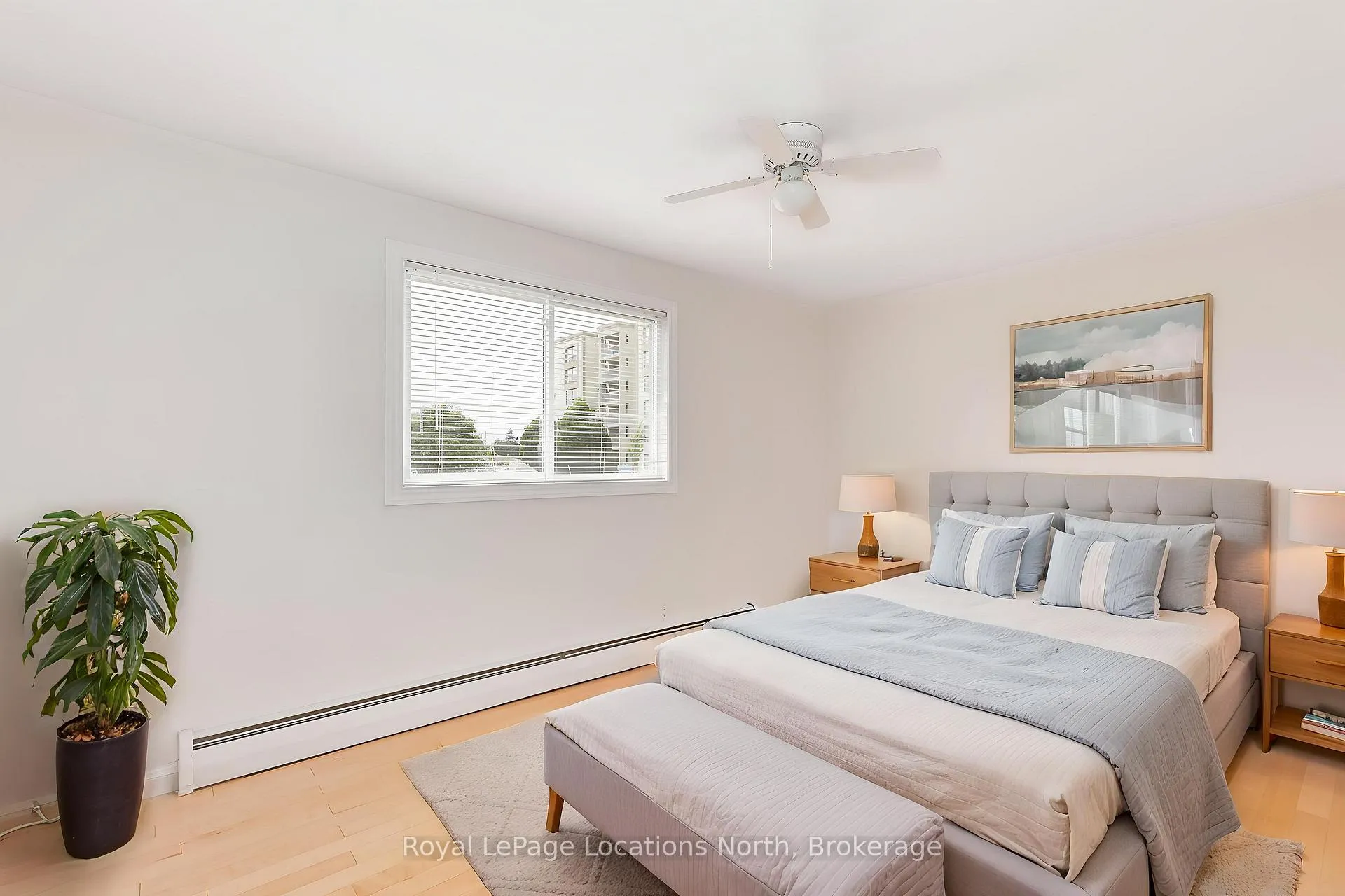 Photo 63 of 594 Oak Street, Collingwood — HOMEH