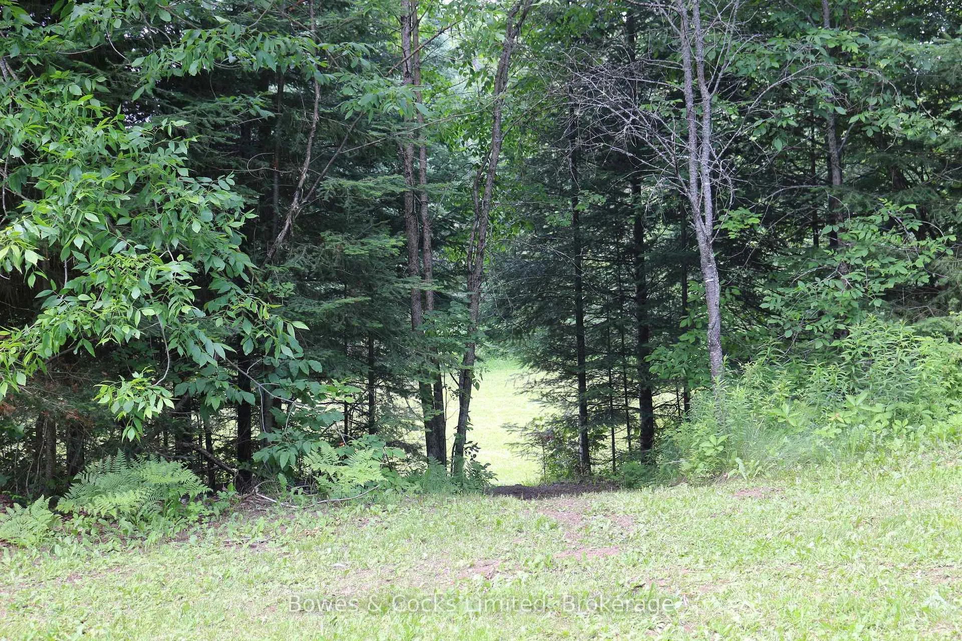 Photo 26 of 3994 County Road 620, North Kawartha — HOMEH
