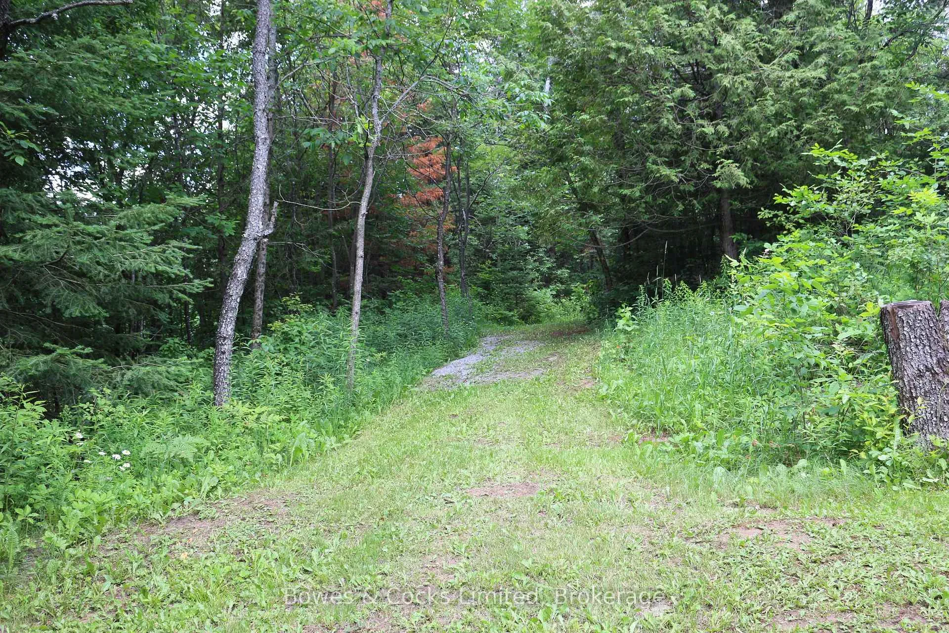 Photo 28 of 3994 County Road 620, North Kawartha — HOMEH