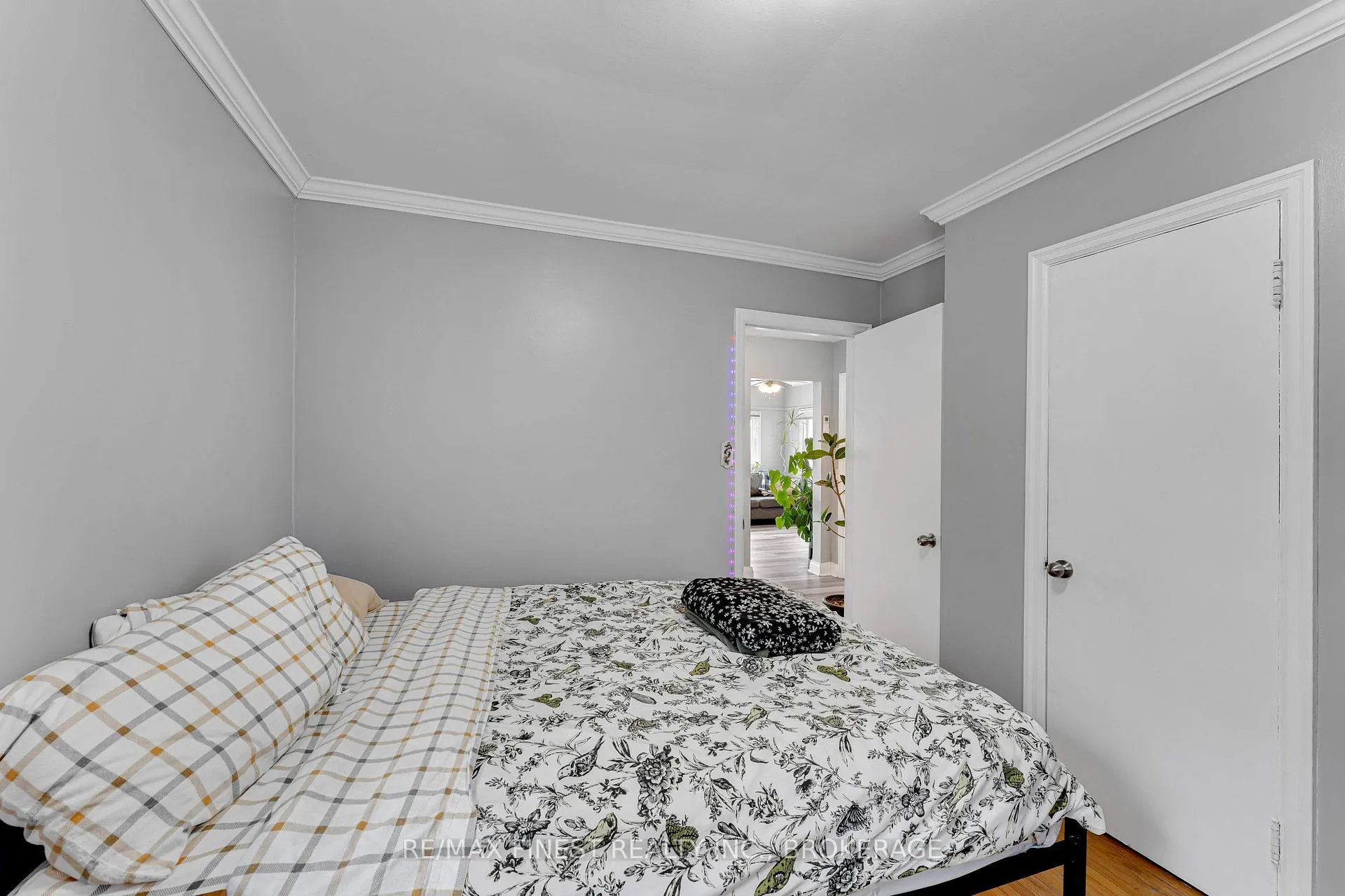 Photo 21 of 6 Baiden Street, Kingston, Central City West — HOMEH