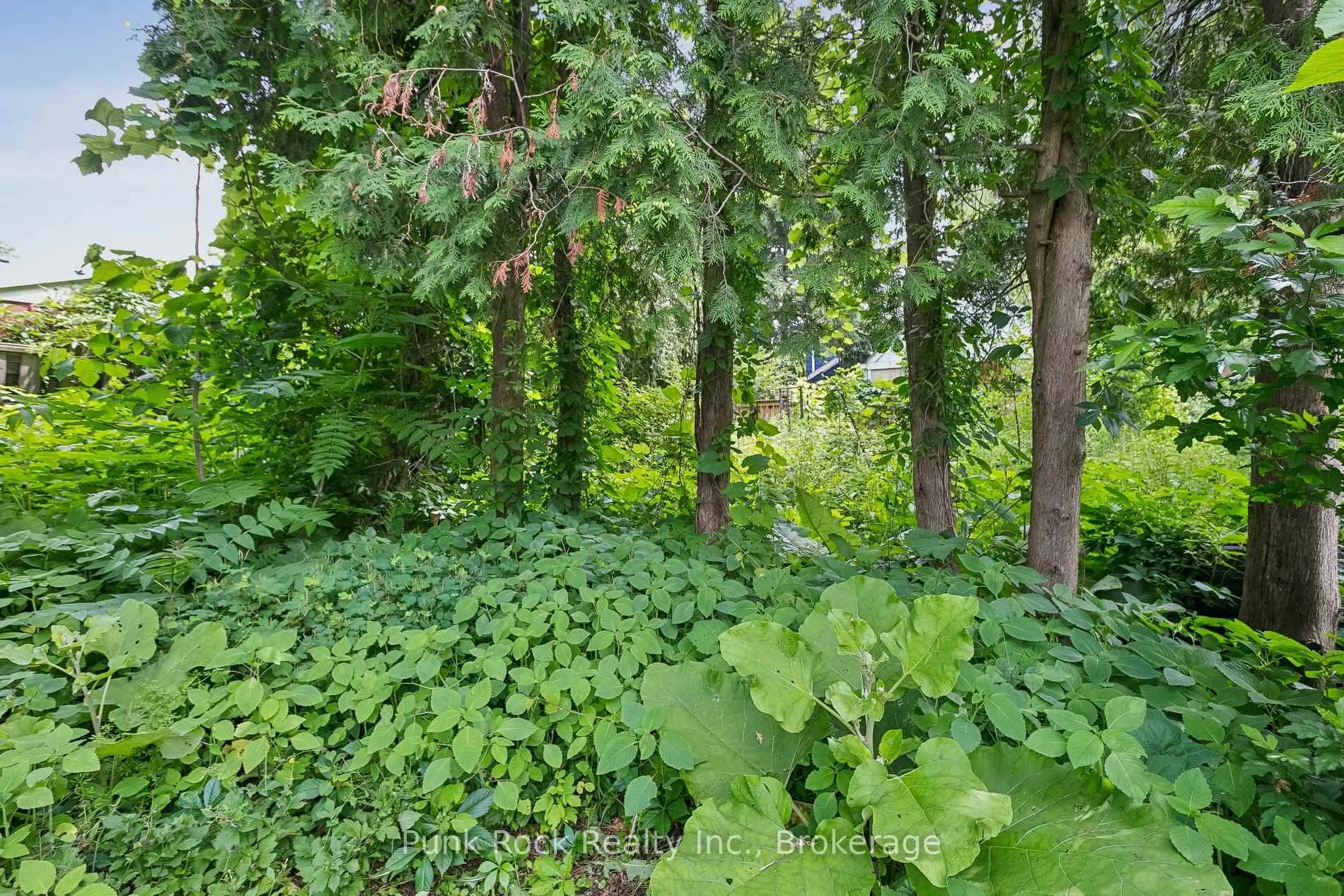 Photo 30 of 18 Lochearne Street, Hamilton, Strathcona — HOMEH