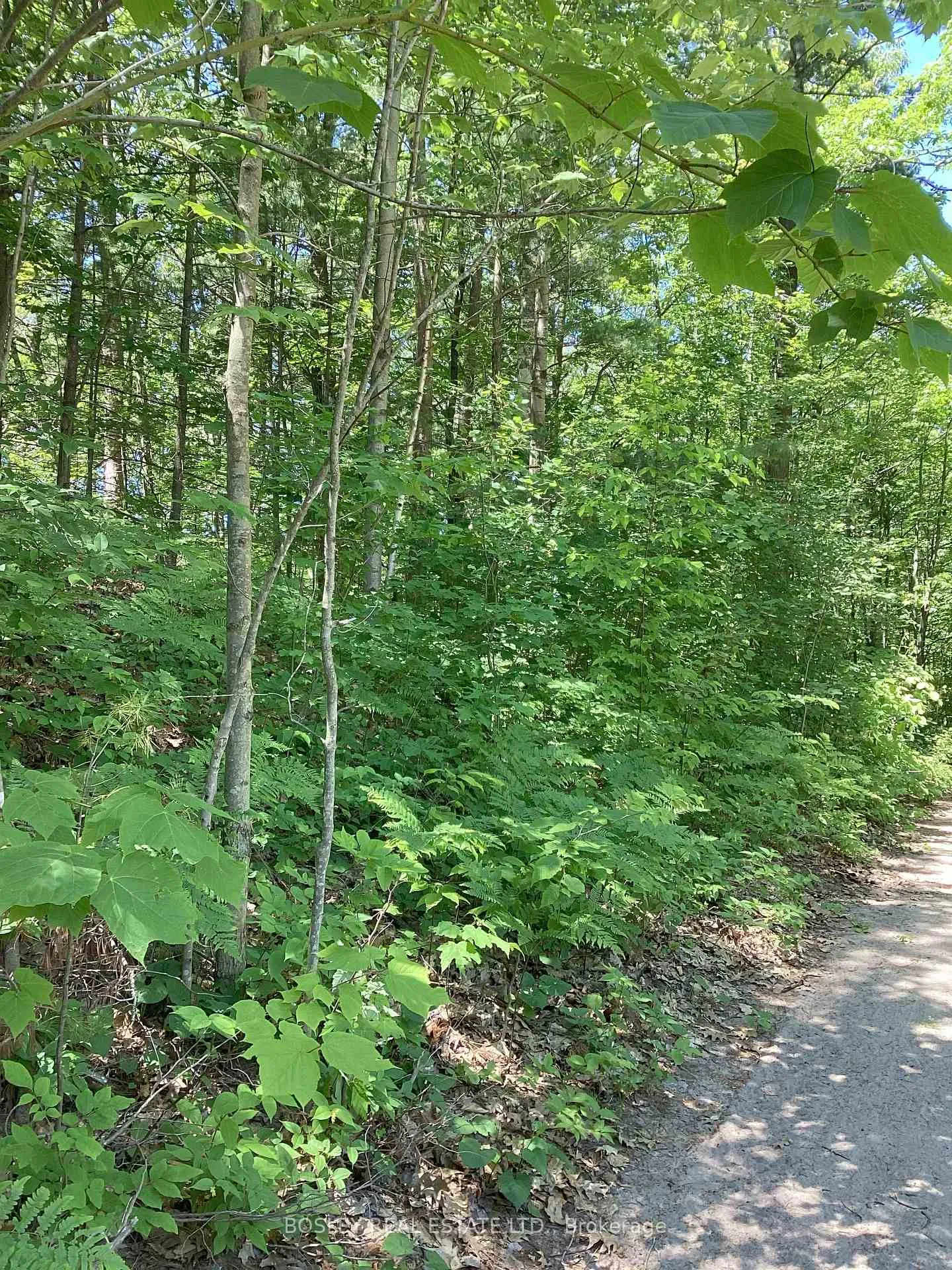 Photo 2 of Lot 402 Desroches Trail, Tiny, Lafontaine — HOMEH