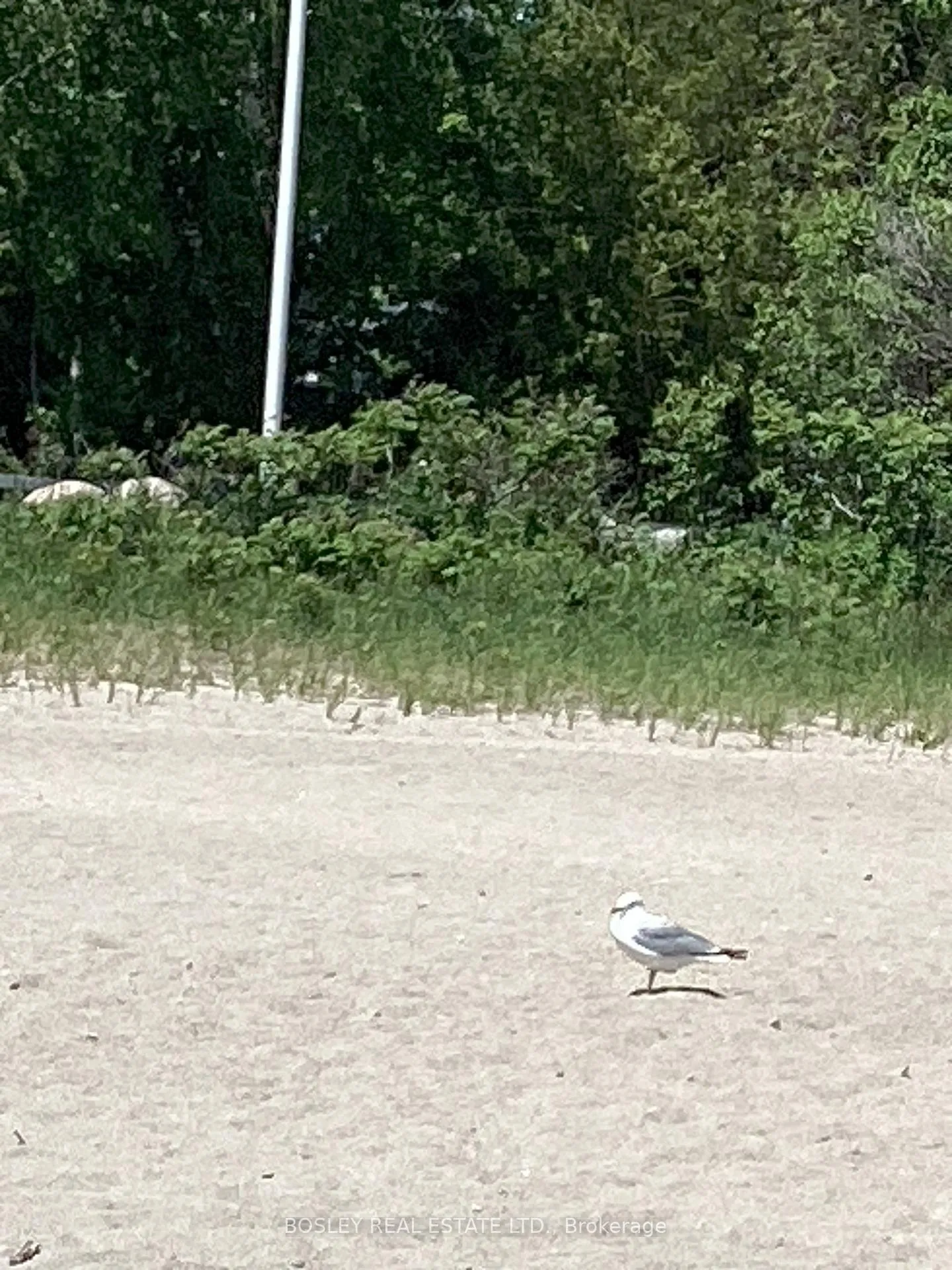 Photo 8 of Lot 402 Desroches Trail, Tiny, Lafontaine — HOMEH