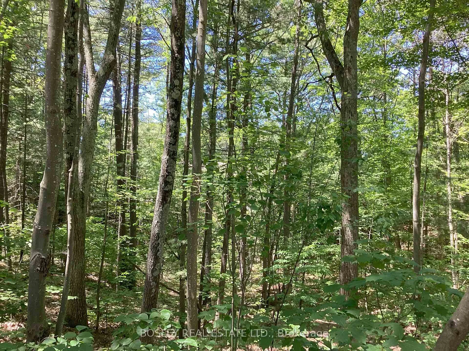 Photo 11 of Lot 402 Desroches Trail, Tiny, Lafontaine — HOMEH