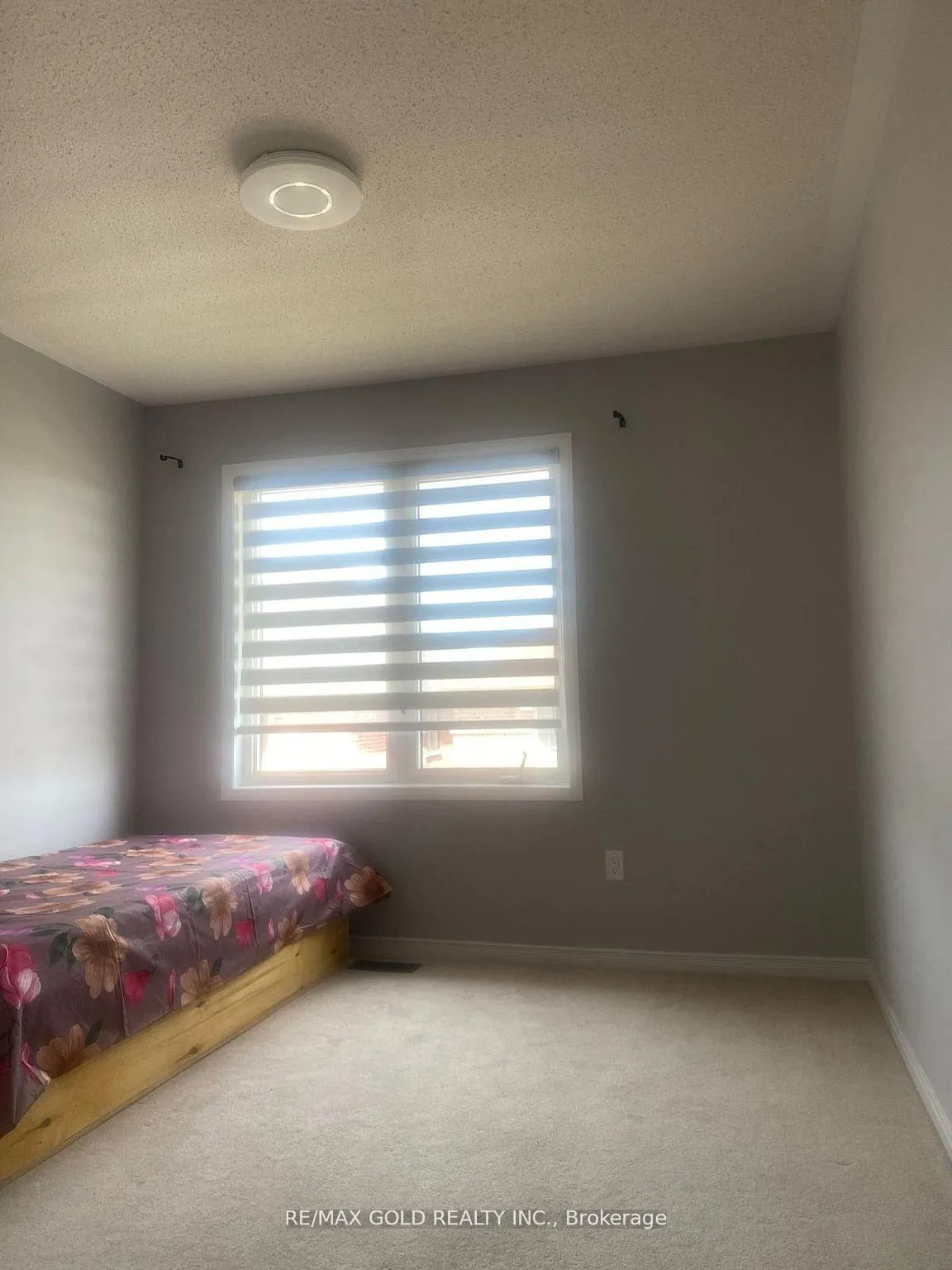 Photo 14 of 66 Zelda Road, Brampton, Sandringham-Wellington North — HOMEH