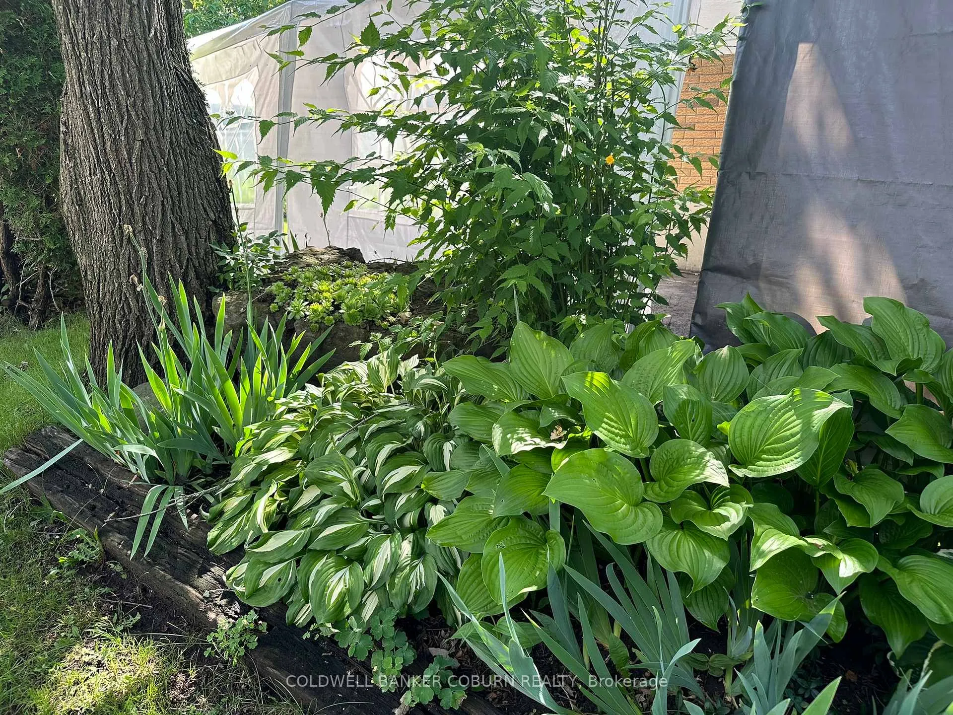 Photo 35 of 36 Brouse Drive E, South Dundas, Iroquois — HOMEH
