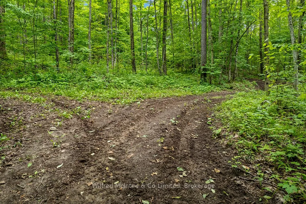 Photo 18 of 302075 Concession 2 Side Road, West Grey — HOMEH