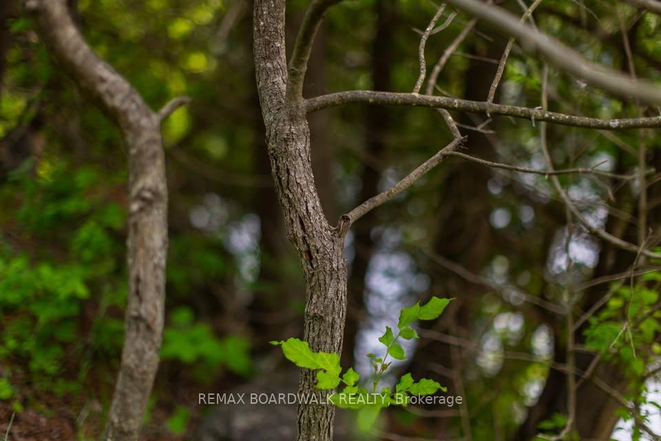 Photo 7 of Stewart's Island, Drummond/North Elmsley, Drummond N Elmsley (Drummond) Twp — HOMEH