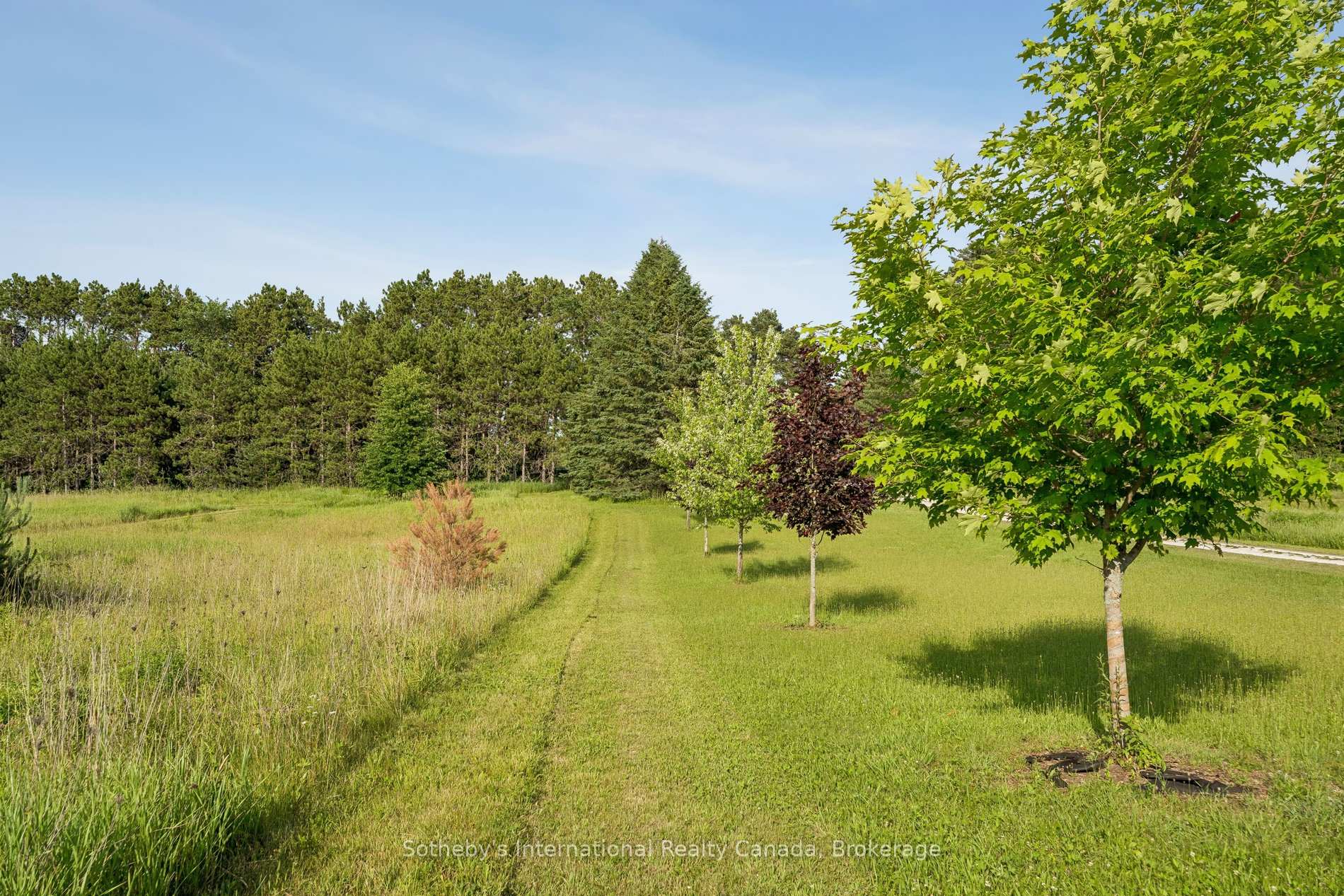 Photo 45 of 938400 Airport Road, Mulmur, Rural Mulmur — HOMEH