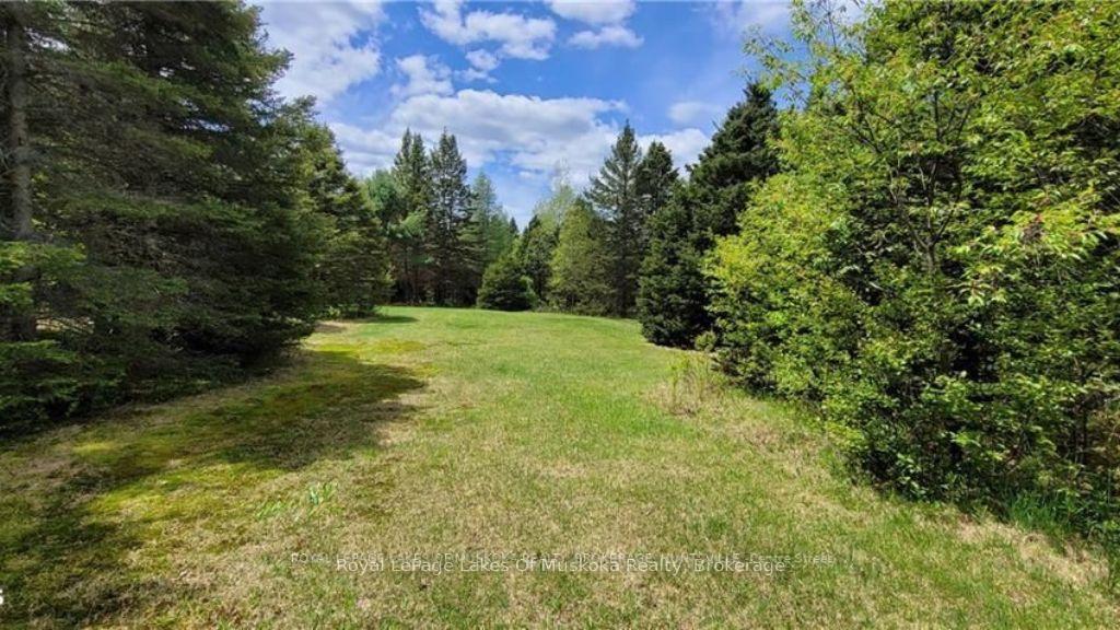 Photo 14 of North Pickerel Lake Road, Armour — HOMEH