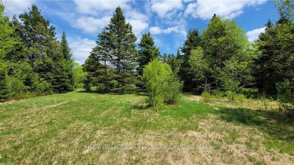 Photo 17 of North Pickerel Lake Road, Armour — HOMEH