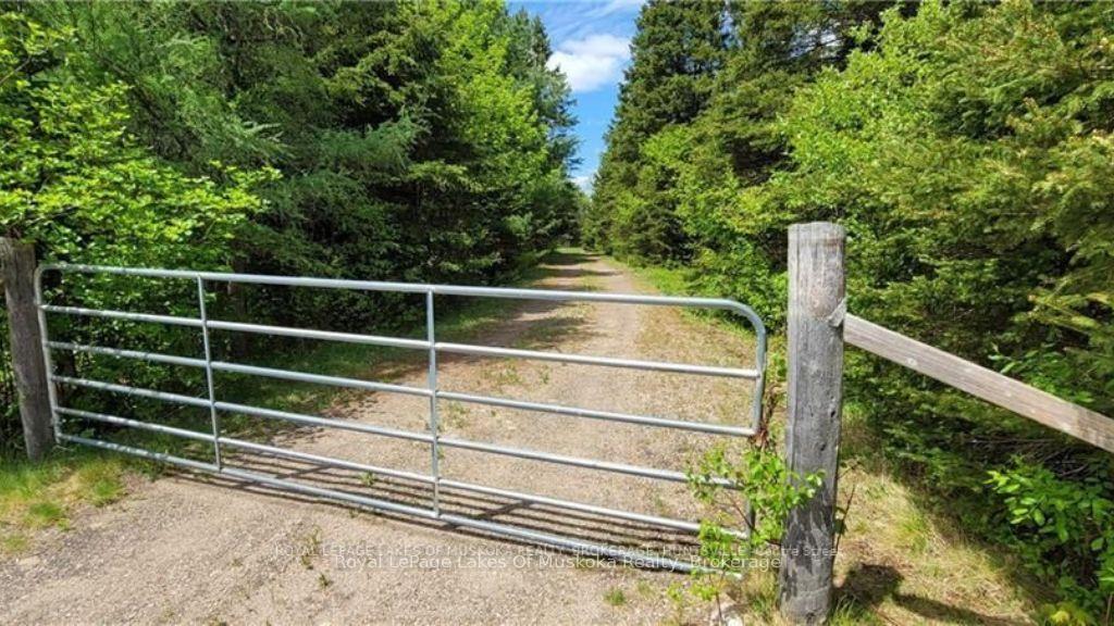 Photo 18 of North Pickerel Lake Road, Armour — HOMEH
