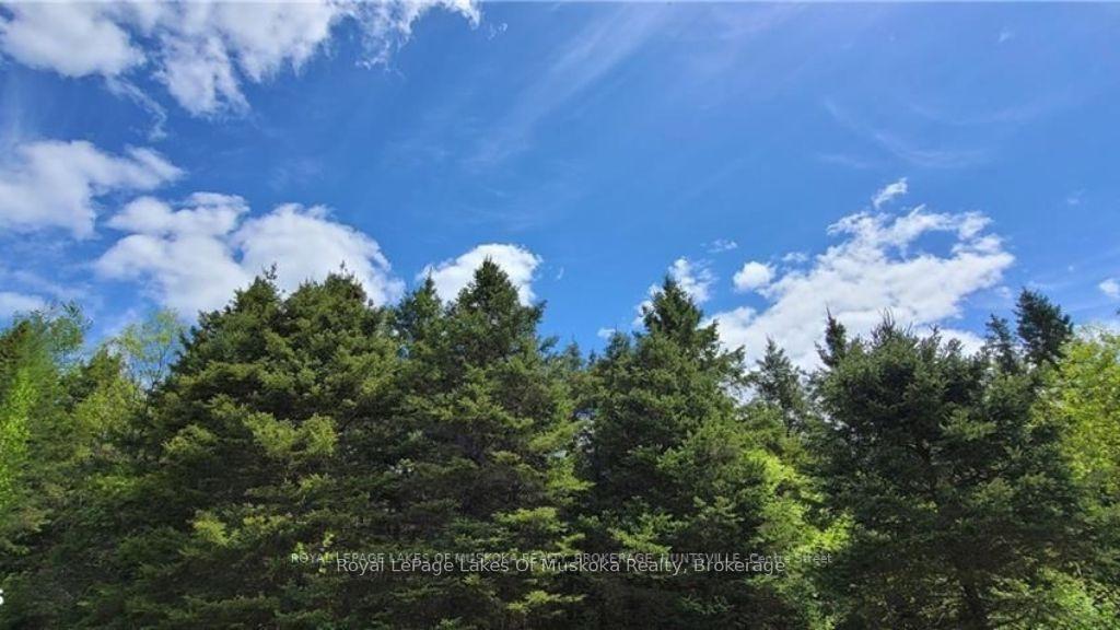 Photo 19 of North Pickerel Lake Road, Armour — HOMEH