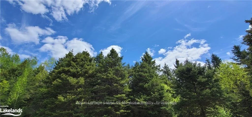 Photo 3 of North Pickerel Lake Road, Armour — HOMEH