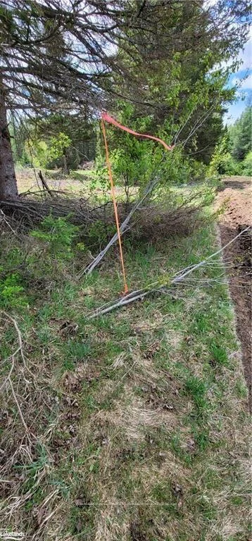 Photo 5 of North Pickerel Lake Road, Armour — HOMEH