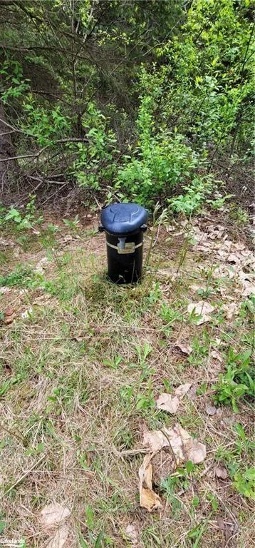 Photo 10 of North Pickerel Lake Road, Armour — HOMEH