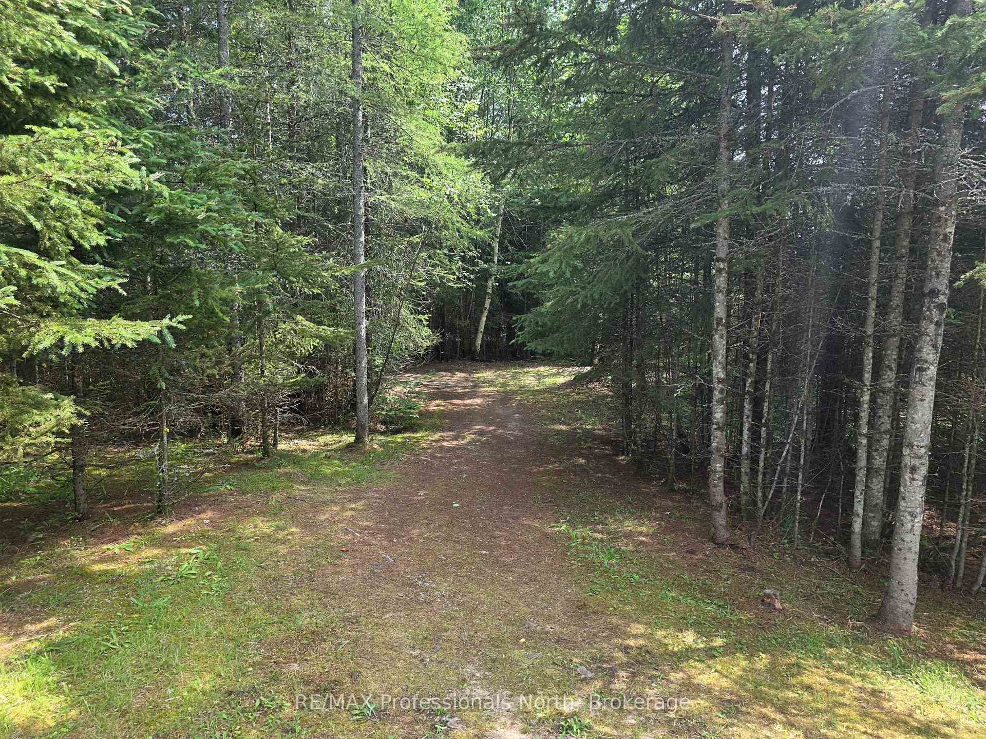 Photo 22 of 737 Hill And Gully Road, Ryerson — HOMEH