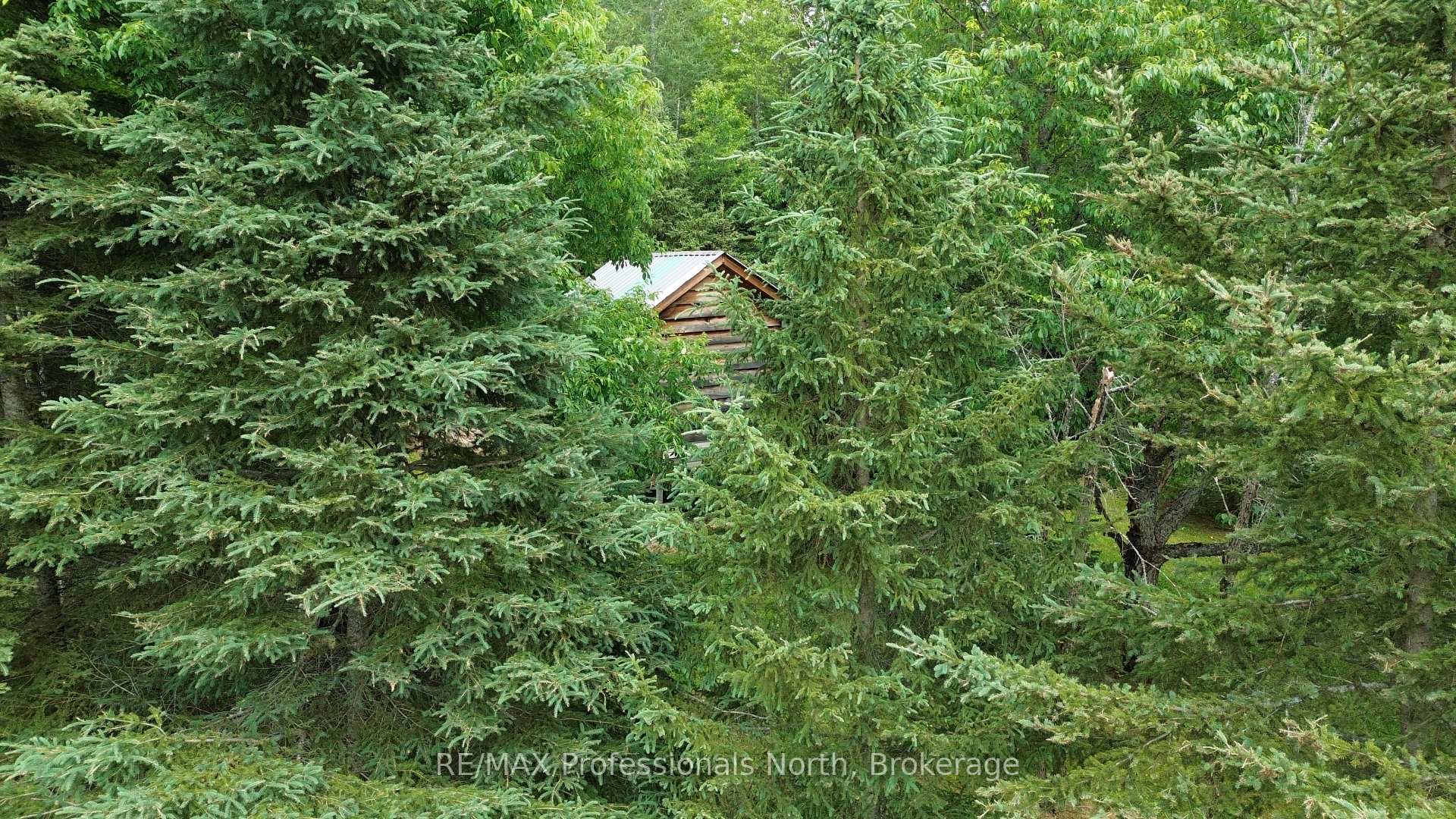 Photo 38 of 737 Hill And Gully Road, Ryerson — HOMEH
