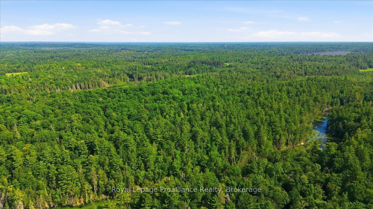 Photo 9 of O'Donnell Road, Addington Highlands, Addington Highlands — HOMEH