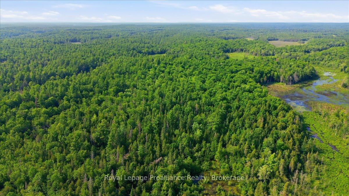 Photo 14 of O'Donnell Road, Addington Highlands, Addington Highlands — HOMEH