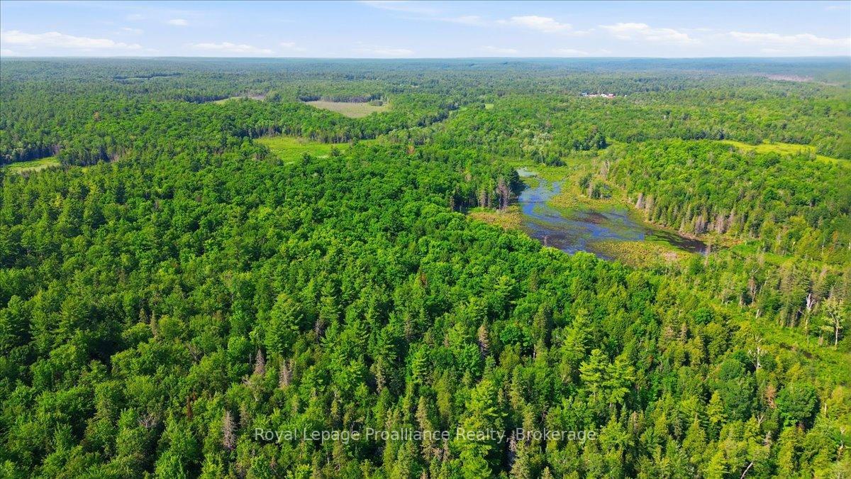Photo 18 of O'Donnell Road, Addington Highlands, Addington Highlands — HOMEH