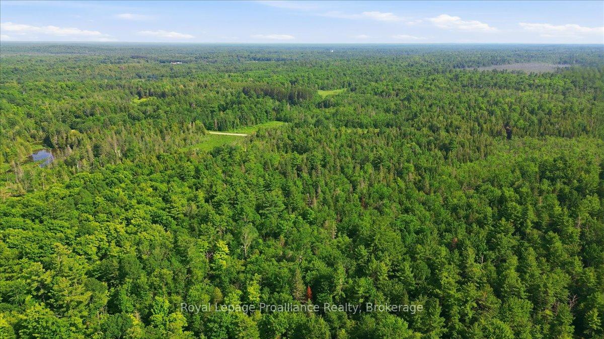 Photo 19 of O'Donnell Road, Addington Highlands, Addington Highlands — HOMEH
