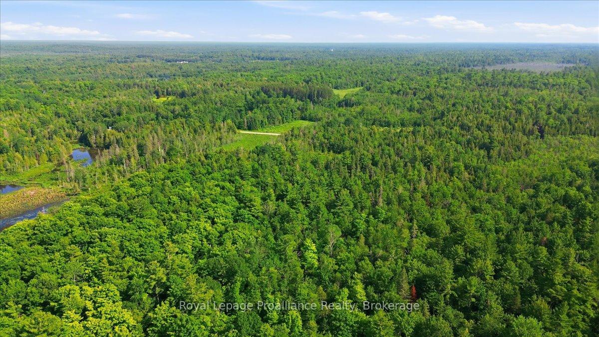 Photo 20 of O'Donnell Road, Addington Highlands, Addington Highlands — HOMEH