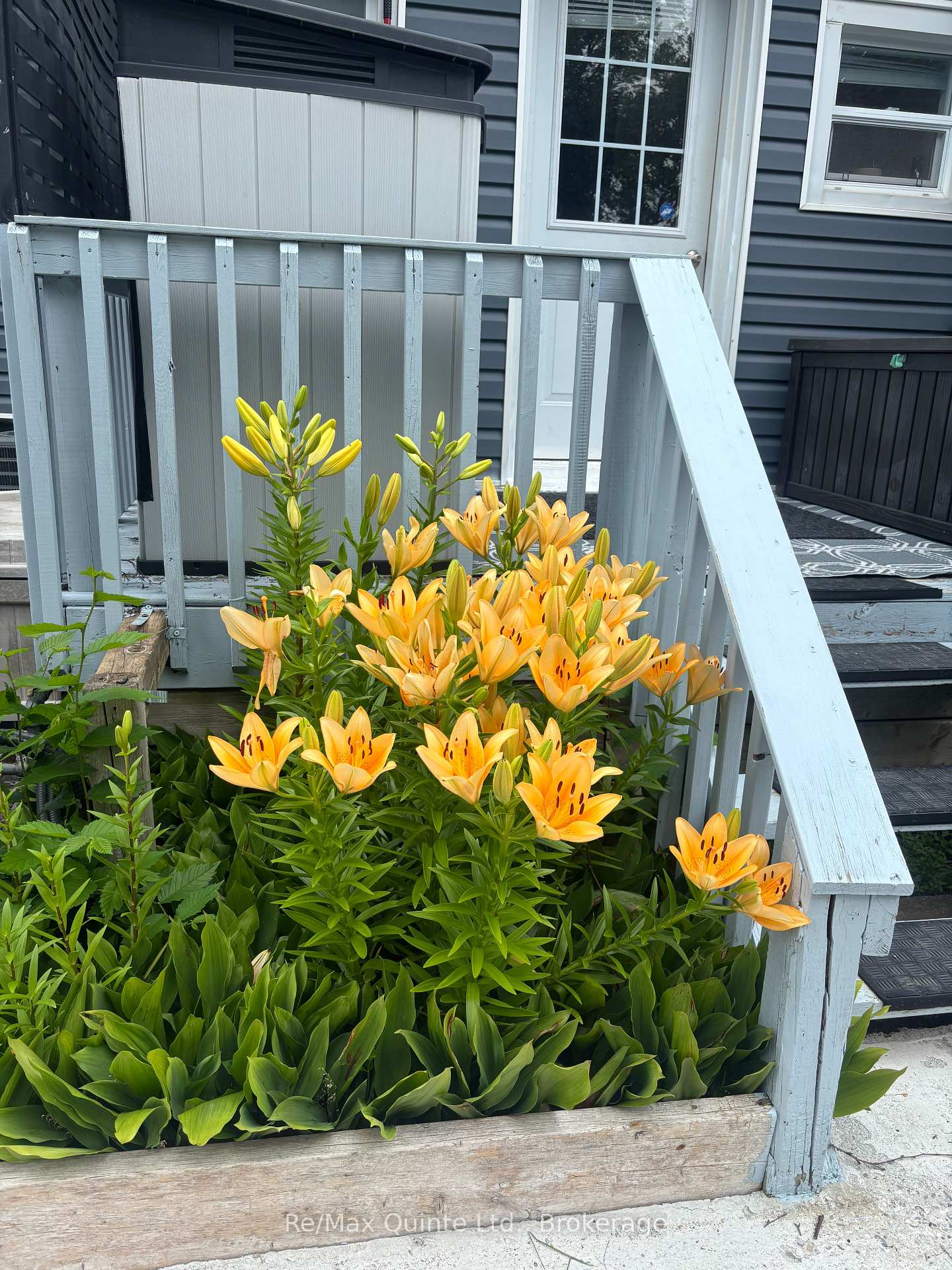 Photo 25 of 97 Spring Street, Quinte West, Trenton Ward — HOMEH