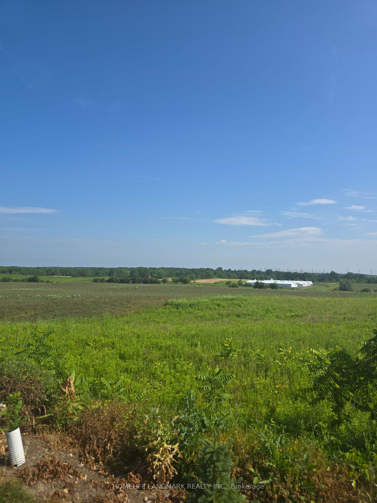Photo 4 of 5177 Hwy #6, Haldimand — HOMEH