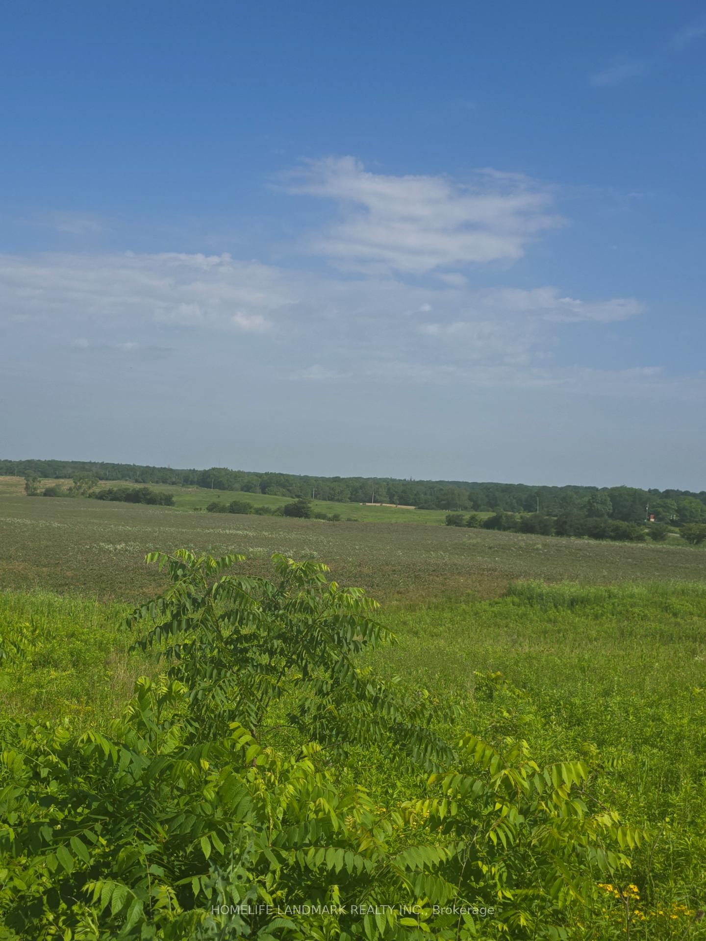 Photo 5 of 5177 Hwy #6, Haldimand — HOMEH