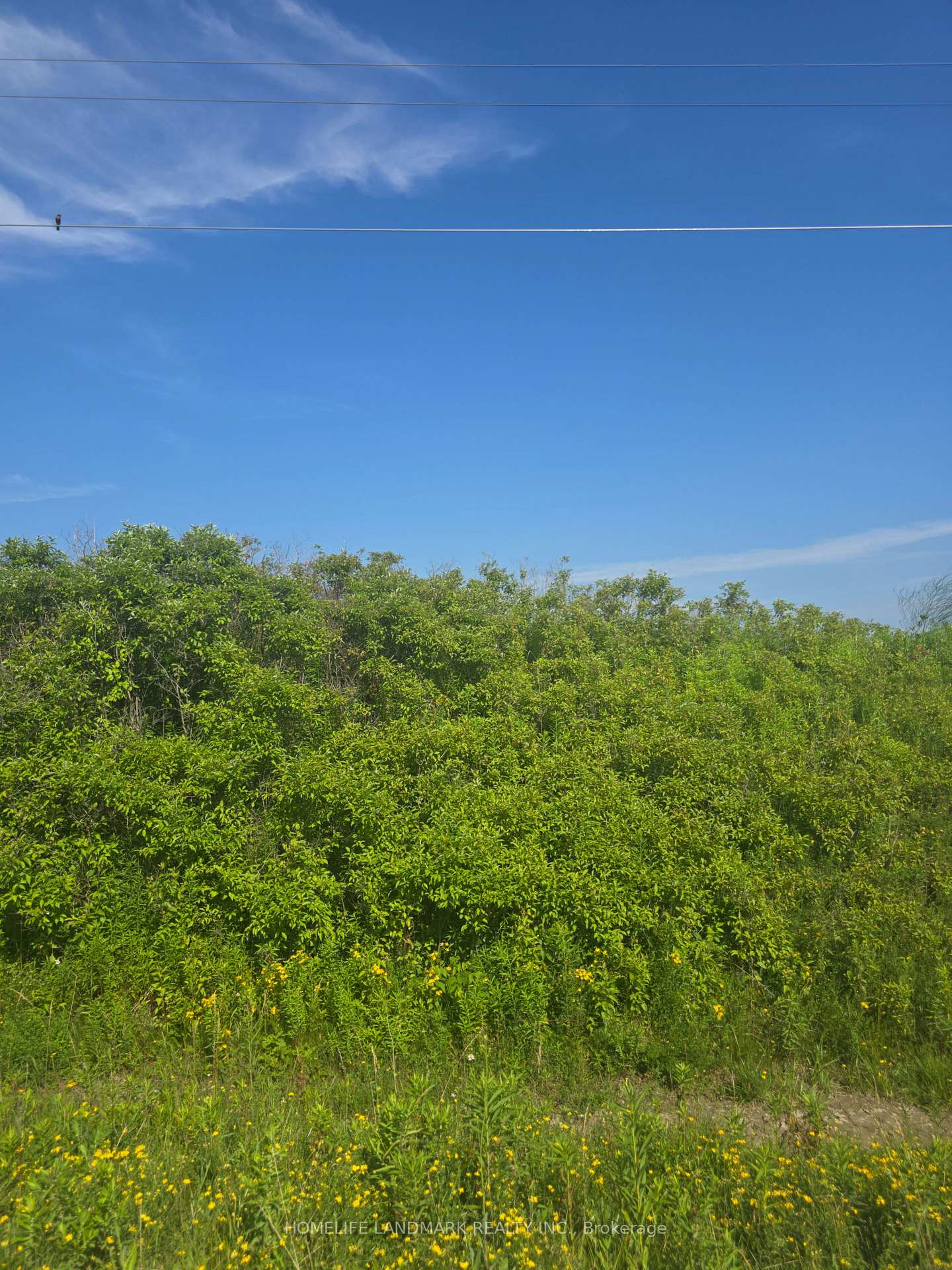 Photo 6 of 5177 Hwy #6, Haldimand — HOMEH