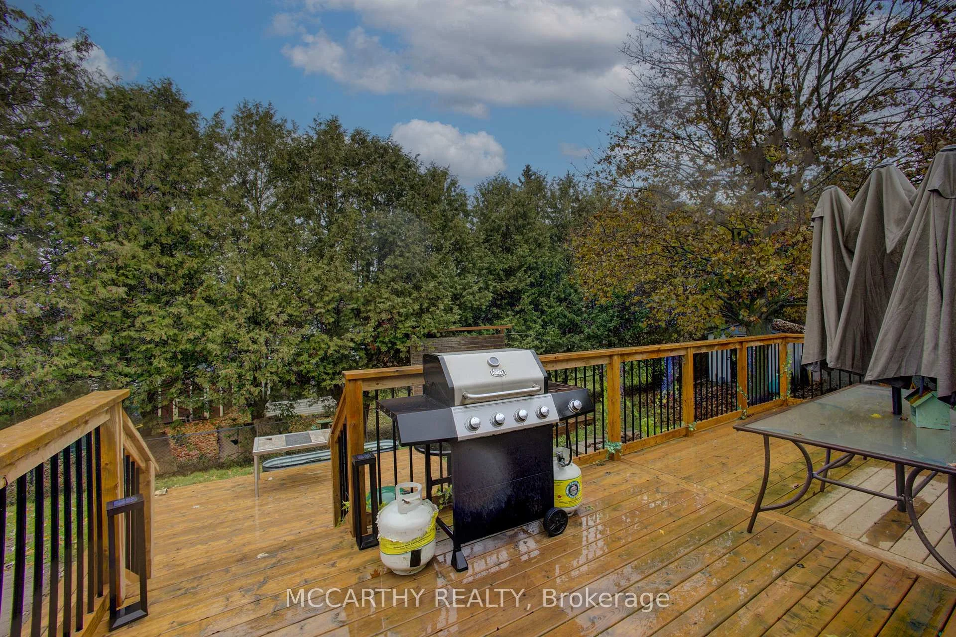 Photo 44 of 124 Muriel Street, Shelburne — HOMEH