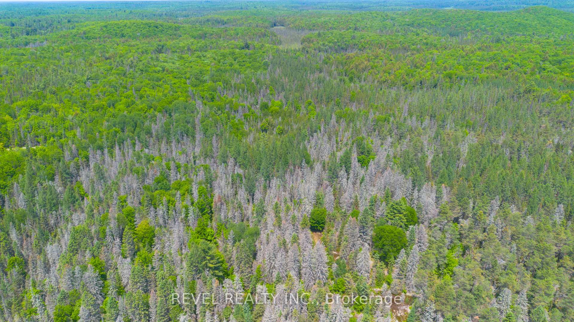 Photo 44 of 3994 Eagle Lake Road, Parry Sound Remote Area, Lount — HOMEH