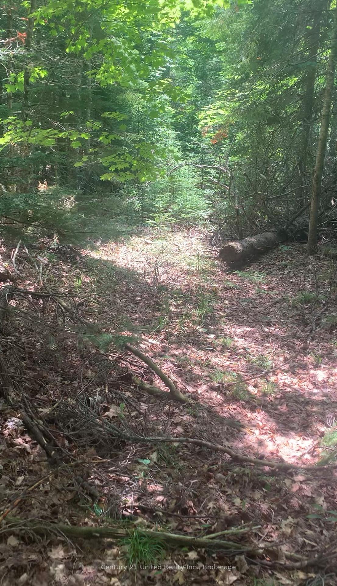 Photo of N/A Highway 28 (North Lot)