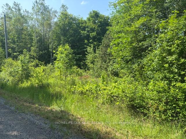 Photo 4 of 8300 Klitbo Road, Augusta, Augusta Twp — HOMEH