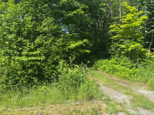 Photo 5 of 8300 Klitbo Road, Augusta, Augusta Twp — HOMEH