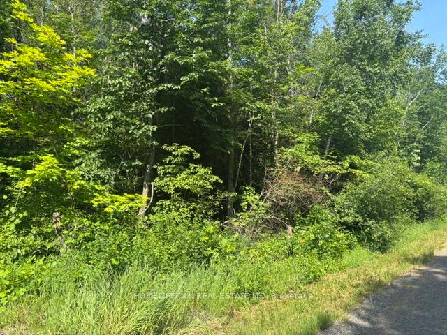 Photo 7 of 8300 Klitbo Road, Augusta, Augusta Twp — HOMEH