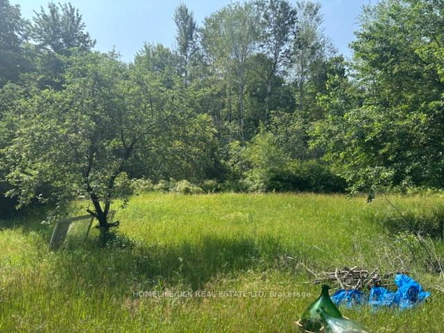 Photo 9 of 8300 Klitbo Road, Augusta, Augusta Twp — HOMEH