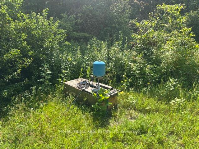 Photo 10 of 8300 Klitbo Road, Augusta, Augusta Twp — HOMEH