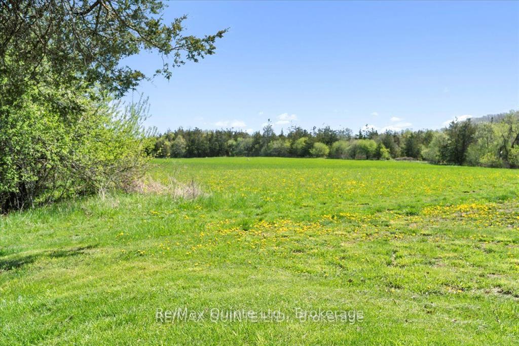 Photo 38 of 213 Gomorrah Road, Prince Edward County, Hallowell Ward — HOMEH
