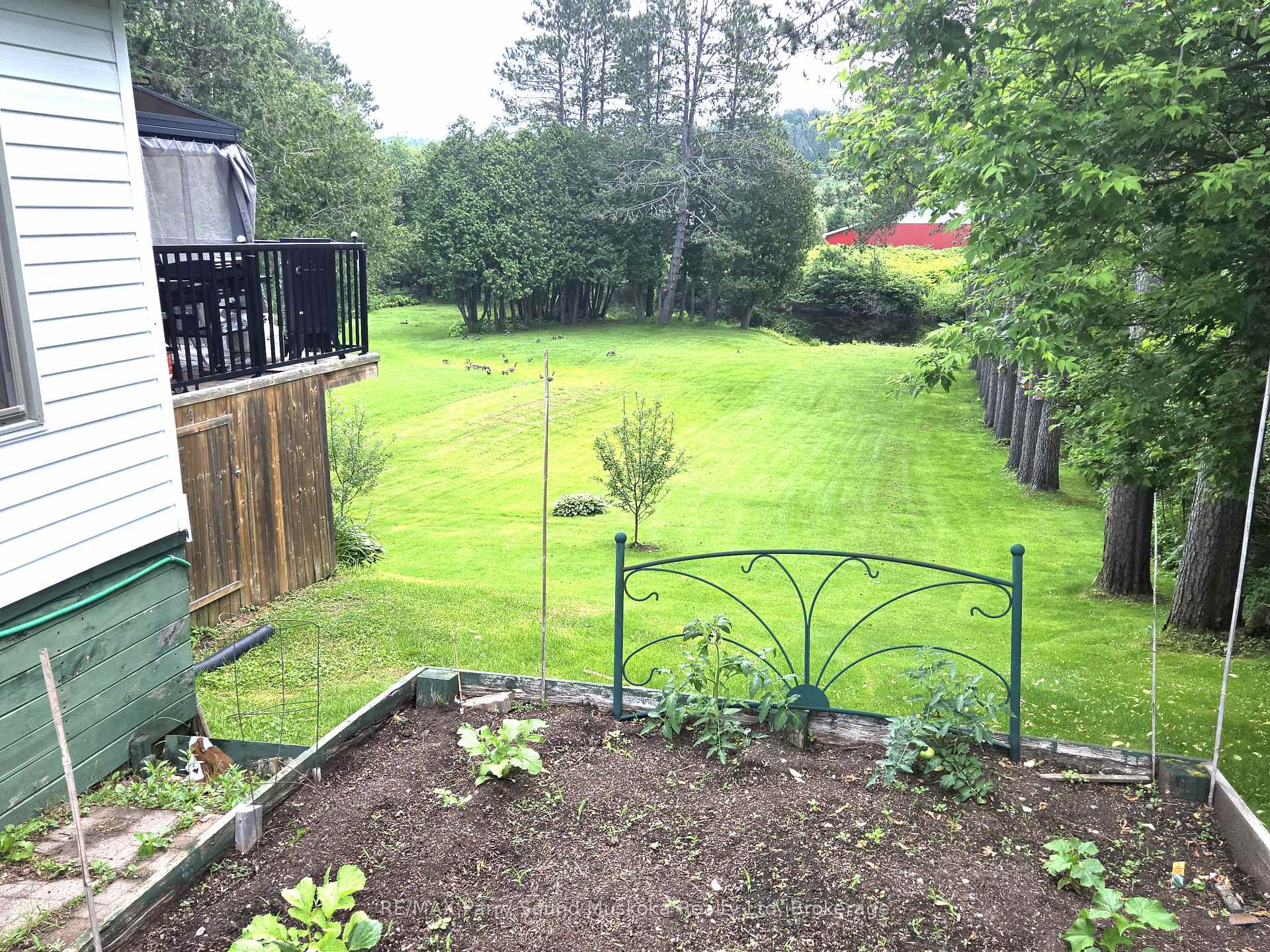 Photo 7 of 118 Dimsdale Street, Burk's Falls — HOMEH