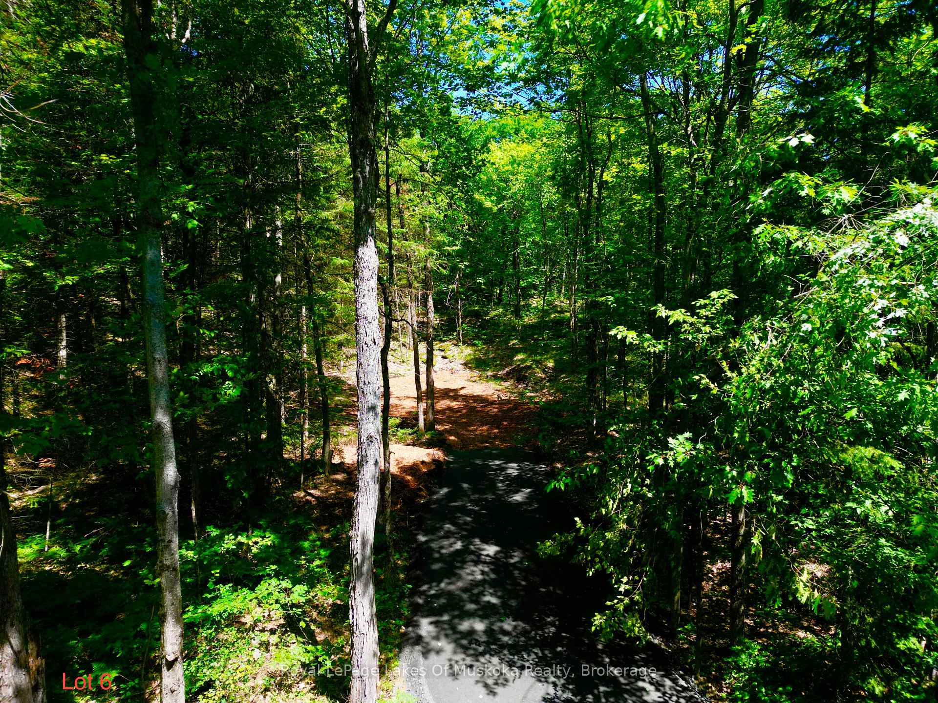 Photo of Lot 6 Fairy Falls Road