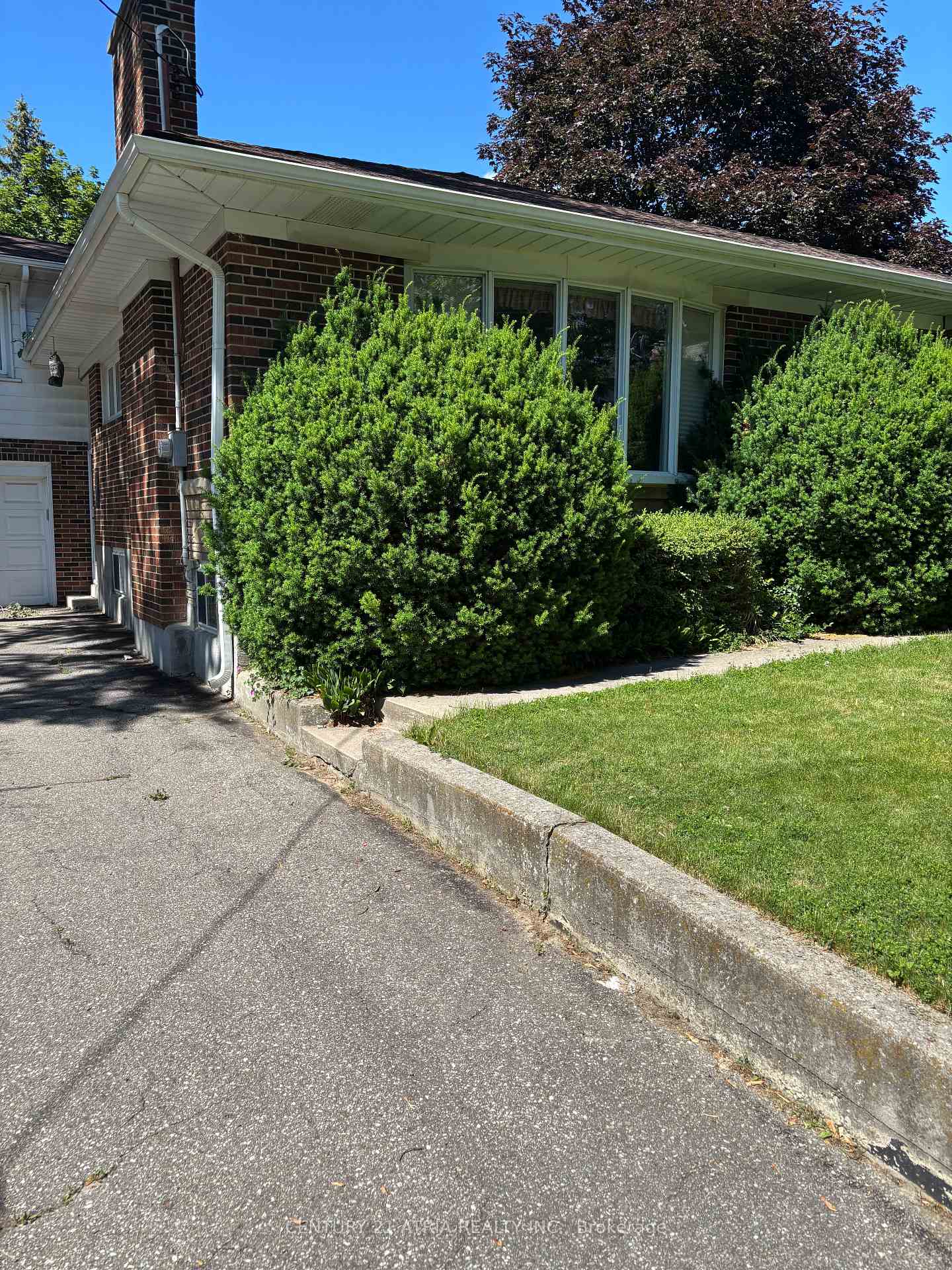 Photo 2 of 4 Winesap Place, Etobicoke, Princess-Rosethorn — HOMEH