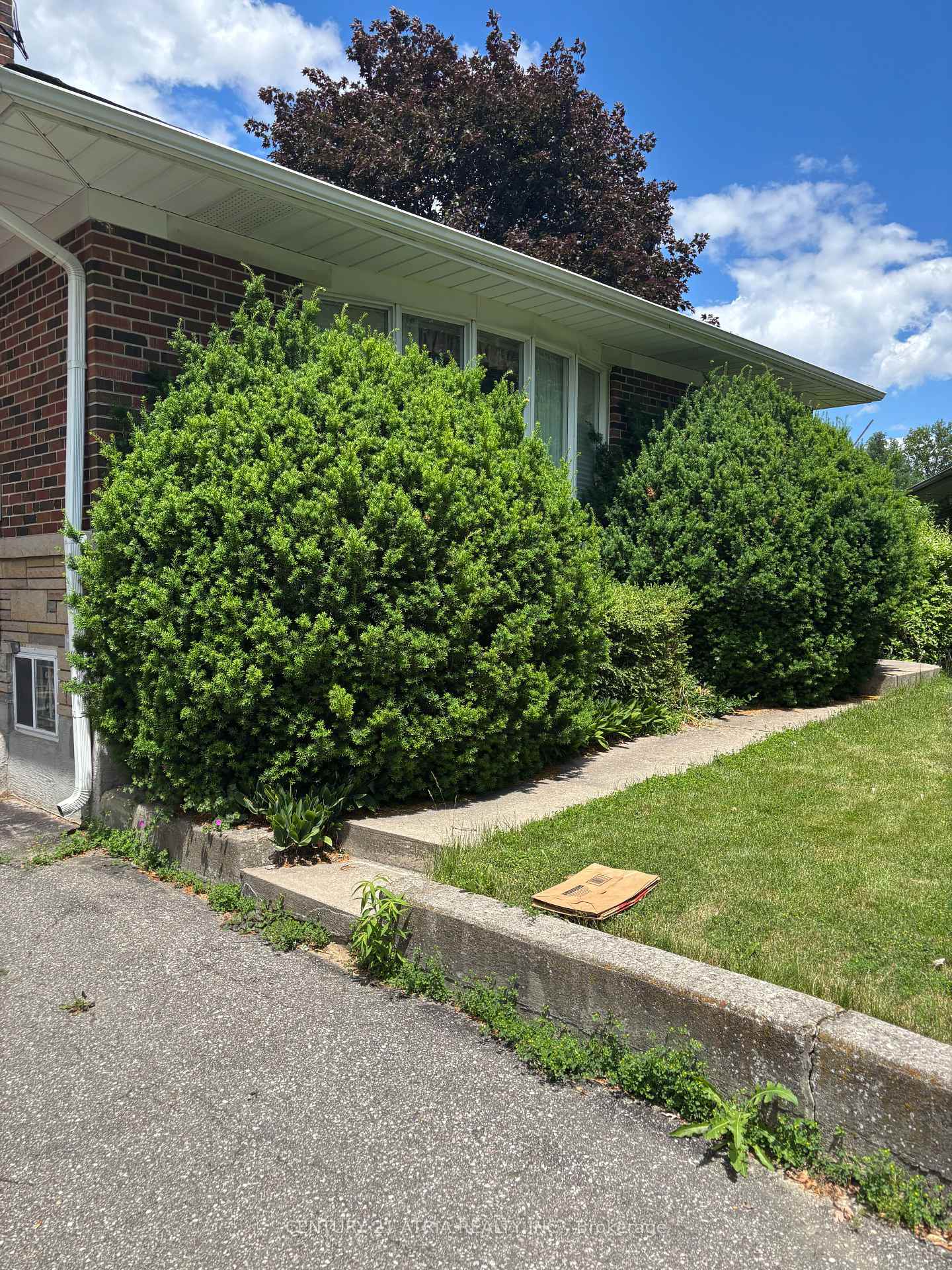 Photo 3 of 4 Winesap Place, Etobicoke, Princess-Rosethorn — HOMEH