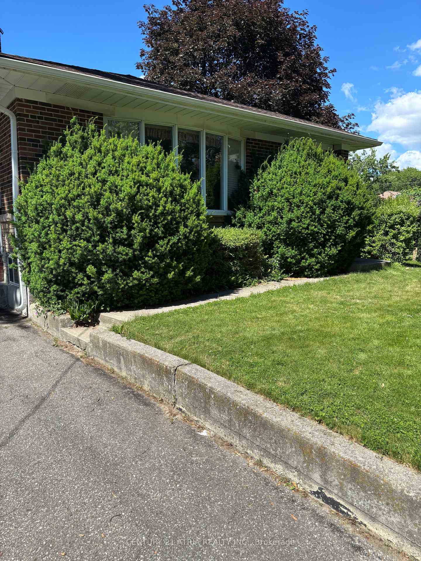 Photo 4 of 4 Winesap Place, Etobicoke, Princess-Rosethorn — HOMEH