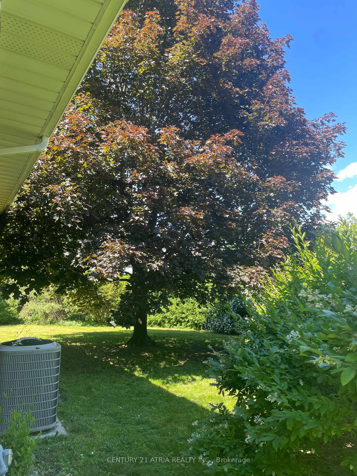 Photo 31 of 4 Winesap Place, Etobicoke, Princess-Rosethorn — HOMEH