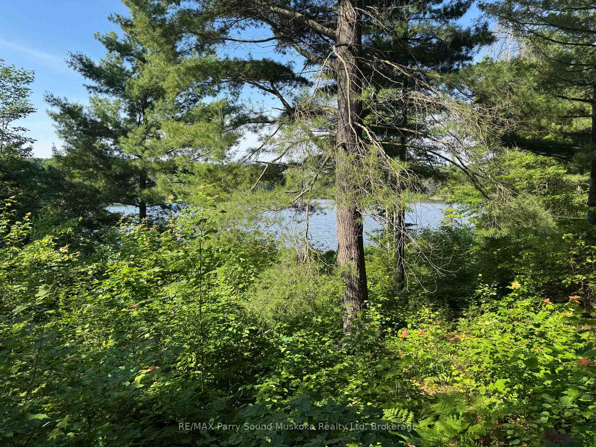 Photo 2 of 7 Bourbonnaise Island, Parry Sound Remote Area, Wilson — HOMEH