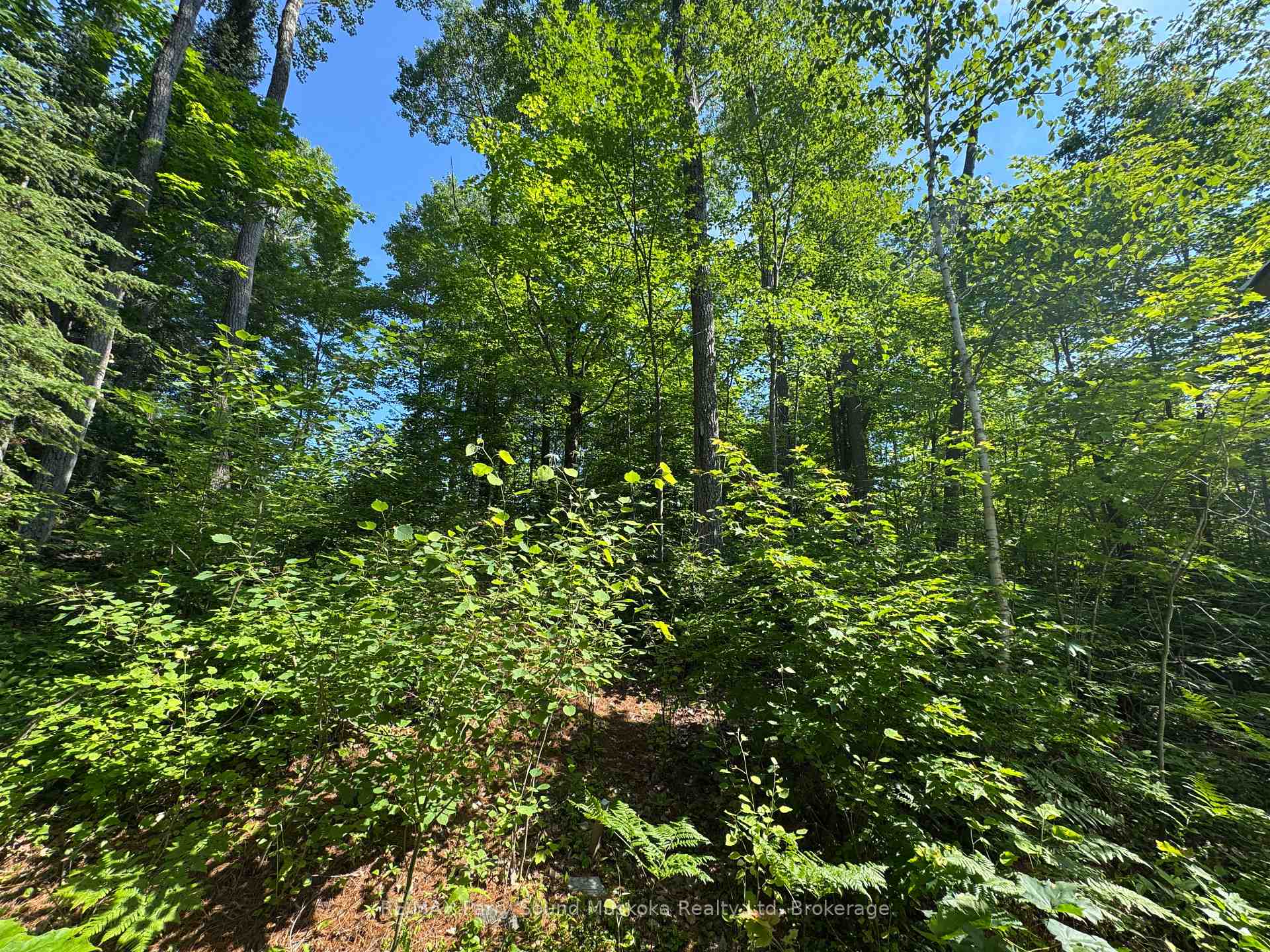 Photo 9 of 7 Bourbonnaise Island, Parry Sound Remote Area, Wilson — HOMEH