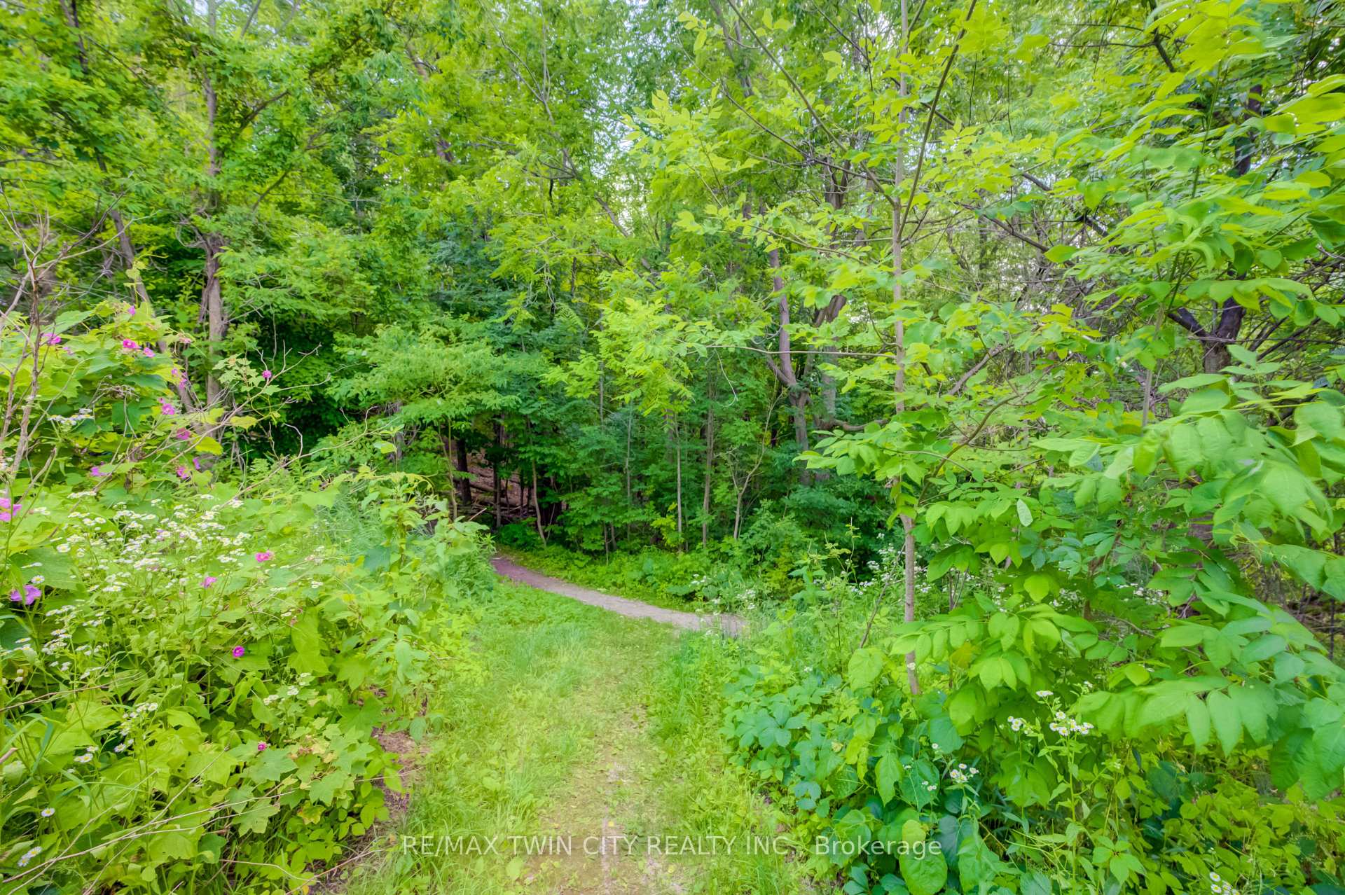 Photo 30 of 569 Violet Street, Waterloo, Columbia Forest/Clair Hills — HOMEH