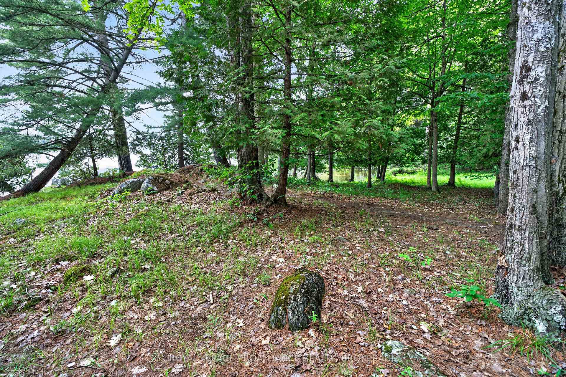 Photo 7 of 3 Scott Island, Rideau Lakes, Rideau Lakes (South Crosby) Twp — HOMEH